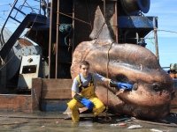 Фотовыставка Романа Федорцова «Фантастические твари или Чудо-Юдо Рыба-кит»