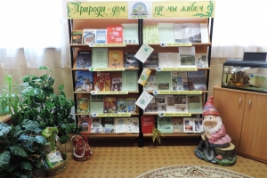 Библиотечная поляна