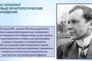 Виртуальный ЭкоТур «Заповедник Пасвик – жизнь на границе мира»