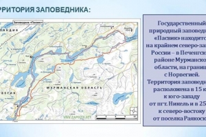 Виртуальный ЭкоТур «Заповедник Пасвик – жизнь на границе мира»