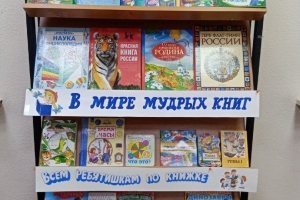 Библиотечный круиз «Весь мир от А до Я откроет книжная страна»