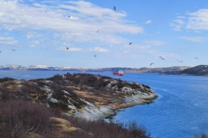 «Кольский полуостров: в краю северных чудес»