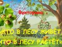 Викторина «Кто в лесу живет, что в лесу растет?»