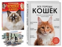 Медиабеседа «Наши любимые кошки: к Всемирному дню защиты животных»