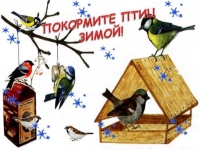 Всероссийская акция «Покорми птиц 2020!»