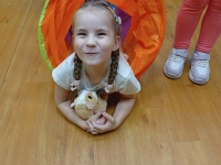 Игровая программа «Разноцветная осень!»