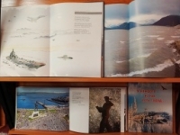 Историческая программа  «Первый герб Североморска»