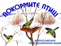Всероссийская акция «Покормите птиц 2020!»  (в рамках программы «ЭкологиЯ»)