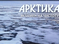 Кинопоказ «Арктика. Проба на чистоту» (из коллекции фильмов киномарафона «Северный характер»)  