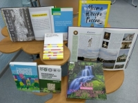 Арт-экскурсия «Парки современного периода» (в рамках социокультурной программы по урбанистике «Этот город самый лучший…»)