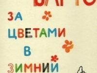 Литературное путешествие «За цветами в зимний сад» 