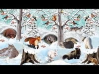 Познавательный час  «Как зимуют звери»
