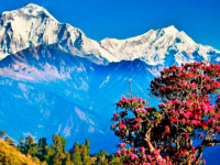 Заседание клуба «Баренц-соседи» «Непал: фантастический трек  «Вокруг Аннапурны»».